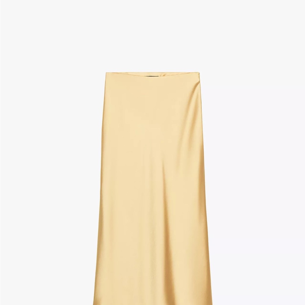 Zara Gold Maxi Skirt